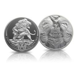 Big 5 Serie III - Leeuw...