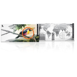 Flat Bar: Subtropische Zone...