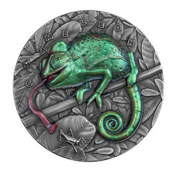 Kameleon - Geweldige Dieren...