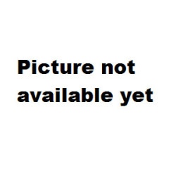 George Washington Frankrijk...