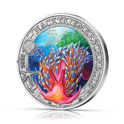 Lichtgevend zeeleven - de...