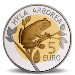 Europese boomkikker...